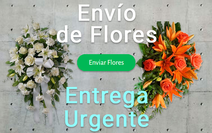 Envio de flores urgente a Tanatorio Esplugues
